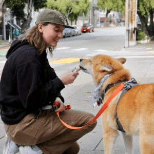 Kirsten, Dog Professional at Sniff and Go