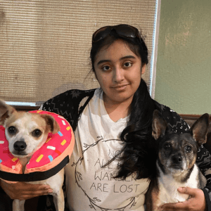 Sasha, Dog Professional at Sniff and Go