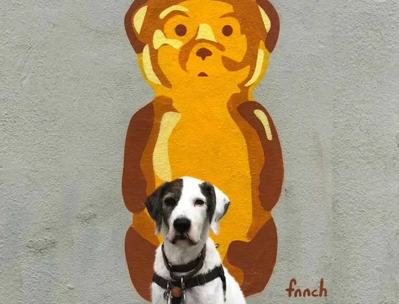 Dog posing in front of fnnch honey bear mural on Stanyan Street in Cole Valley, San Francisco