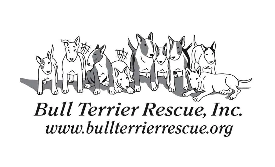 Bull Terrier Rescue Inc. logo