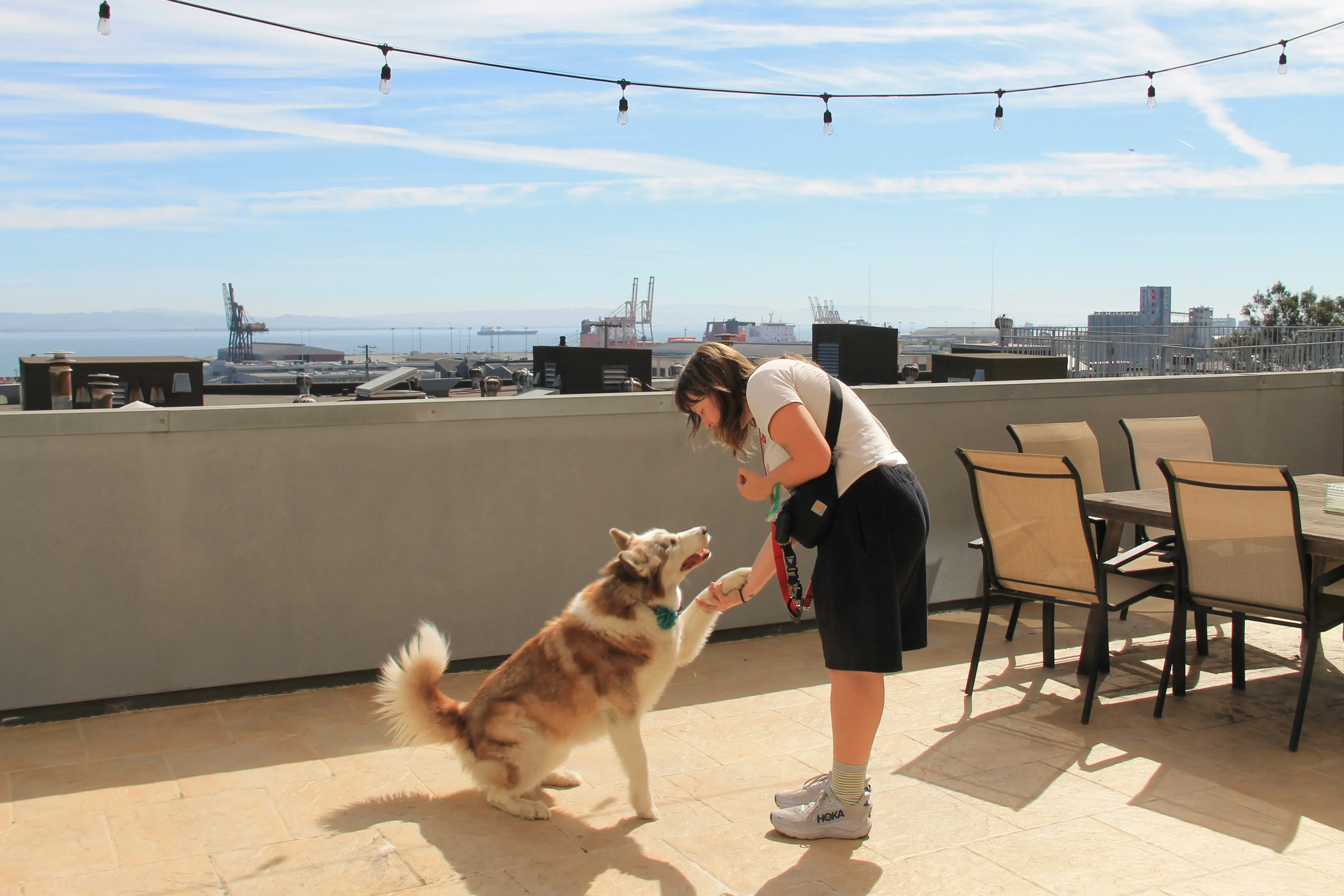 Charley on a dog walk through Potrero Hill, San Francisco