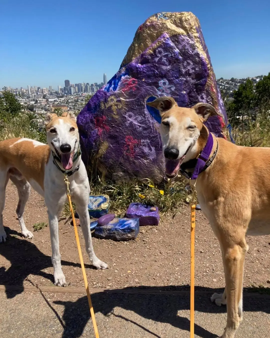Two greyhounds at a painted rock hilltop