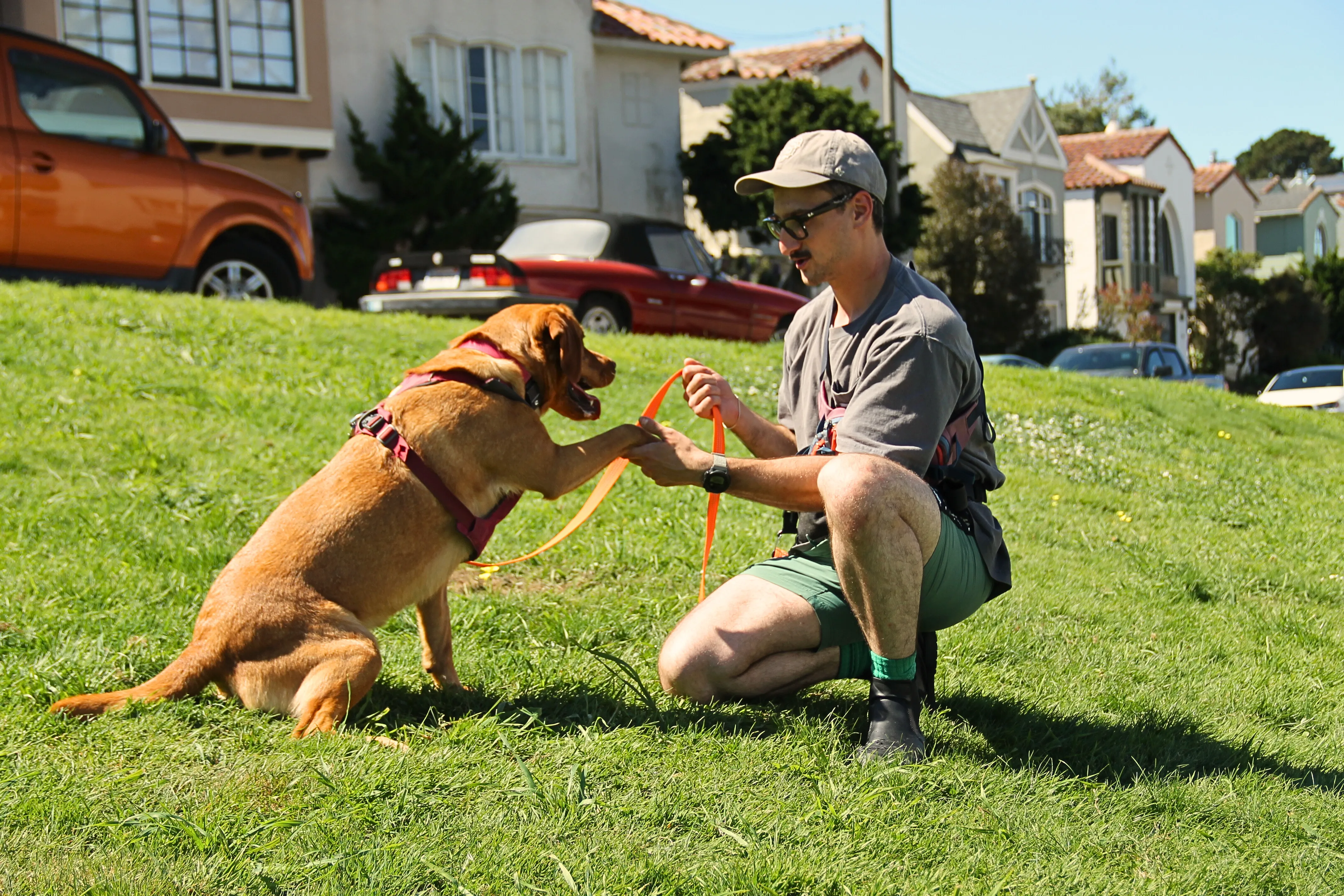 Nick and Ginger on a walk near Sutro Tower in Twin Peaks, San Francisco