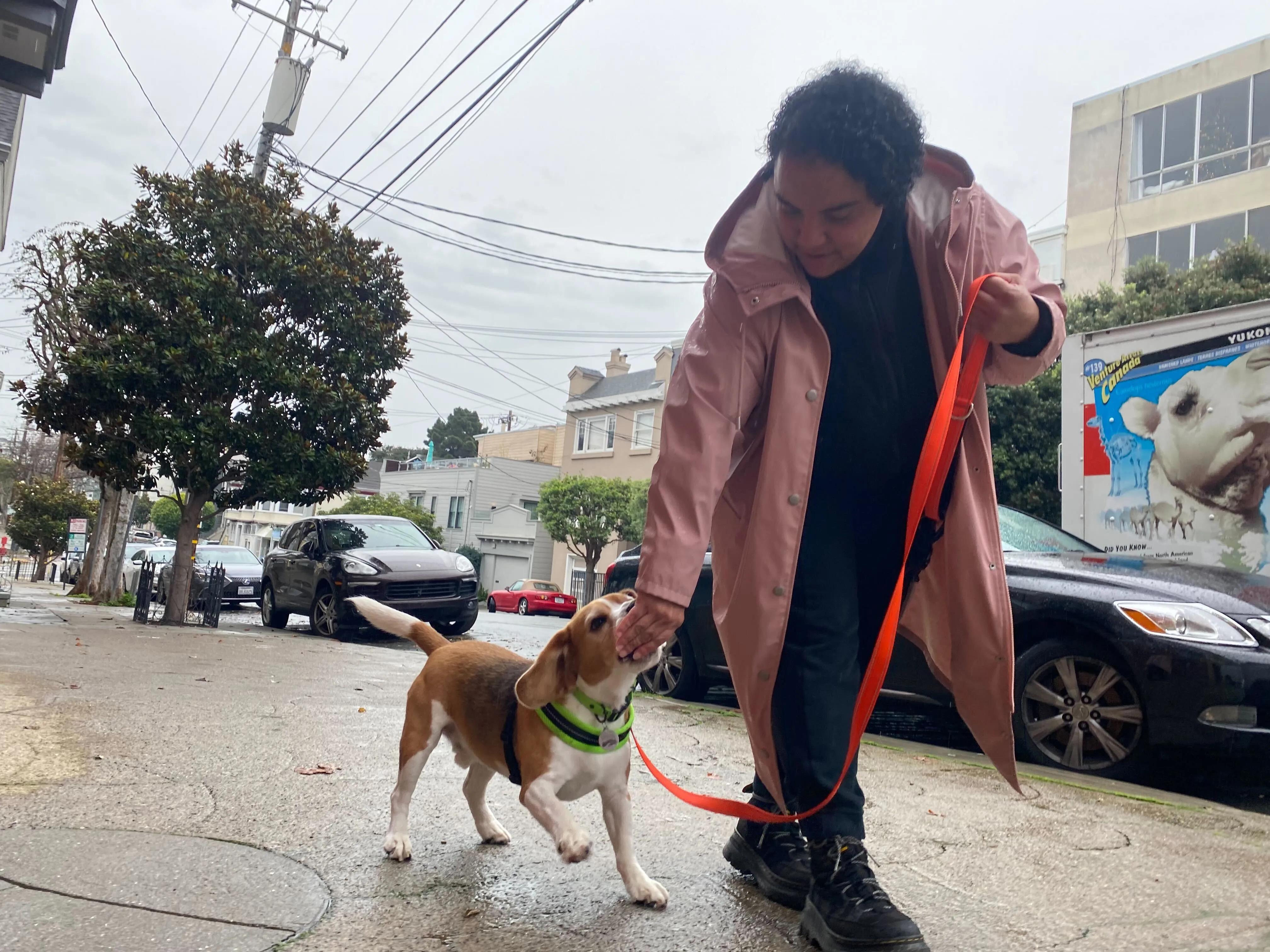 Sniff and Go walker giving one-on-one attention to a beagle on a quiet San Francisco street