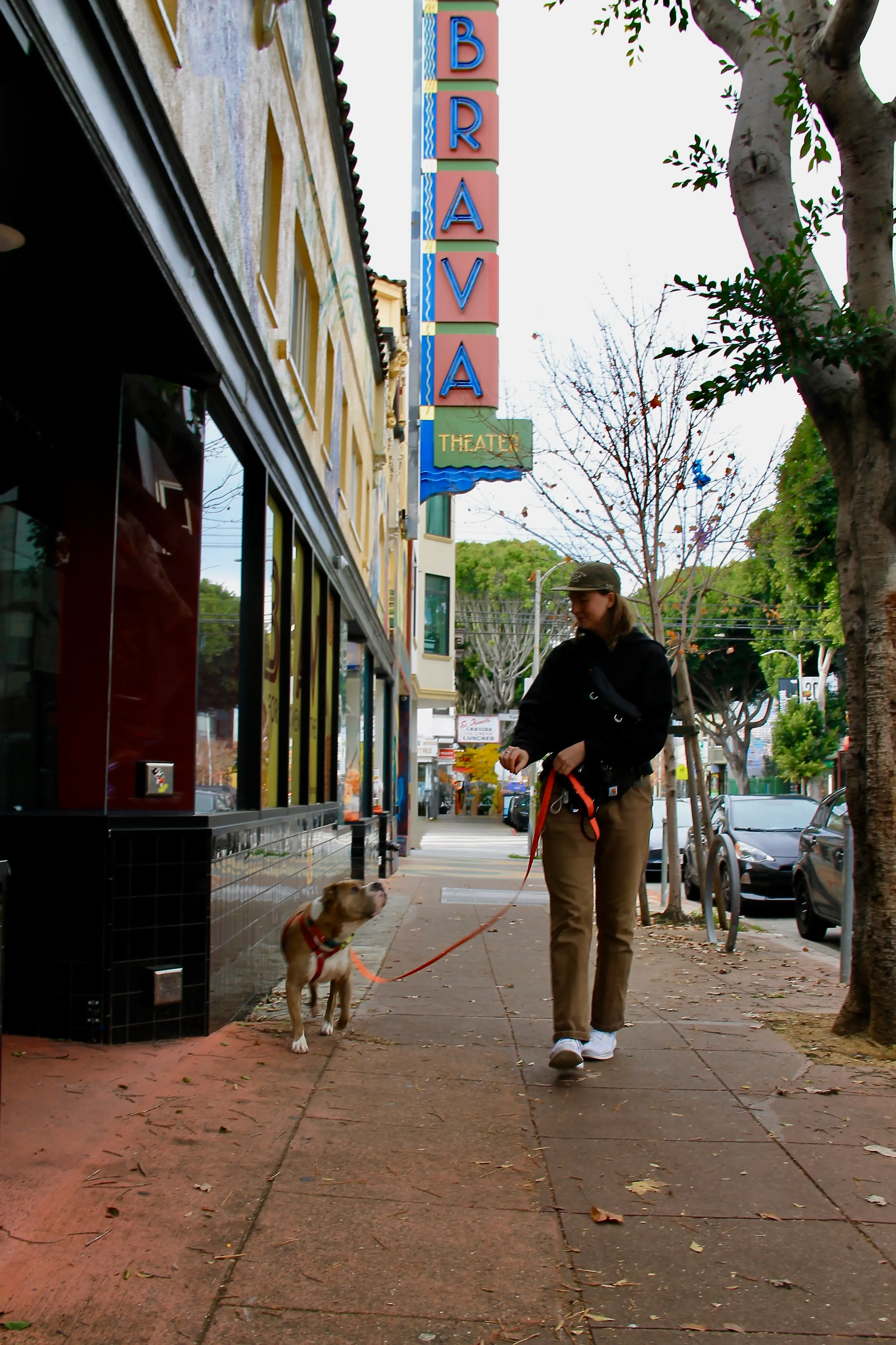 Sniff and Go walker with a dog past Brava Theater