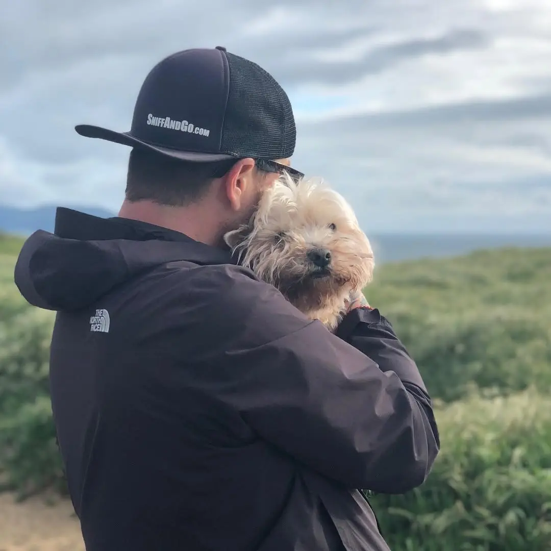 Sniff and Go walker with a small dog at the coast