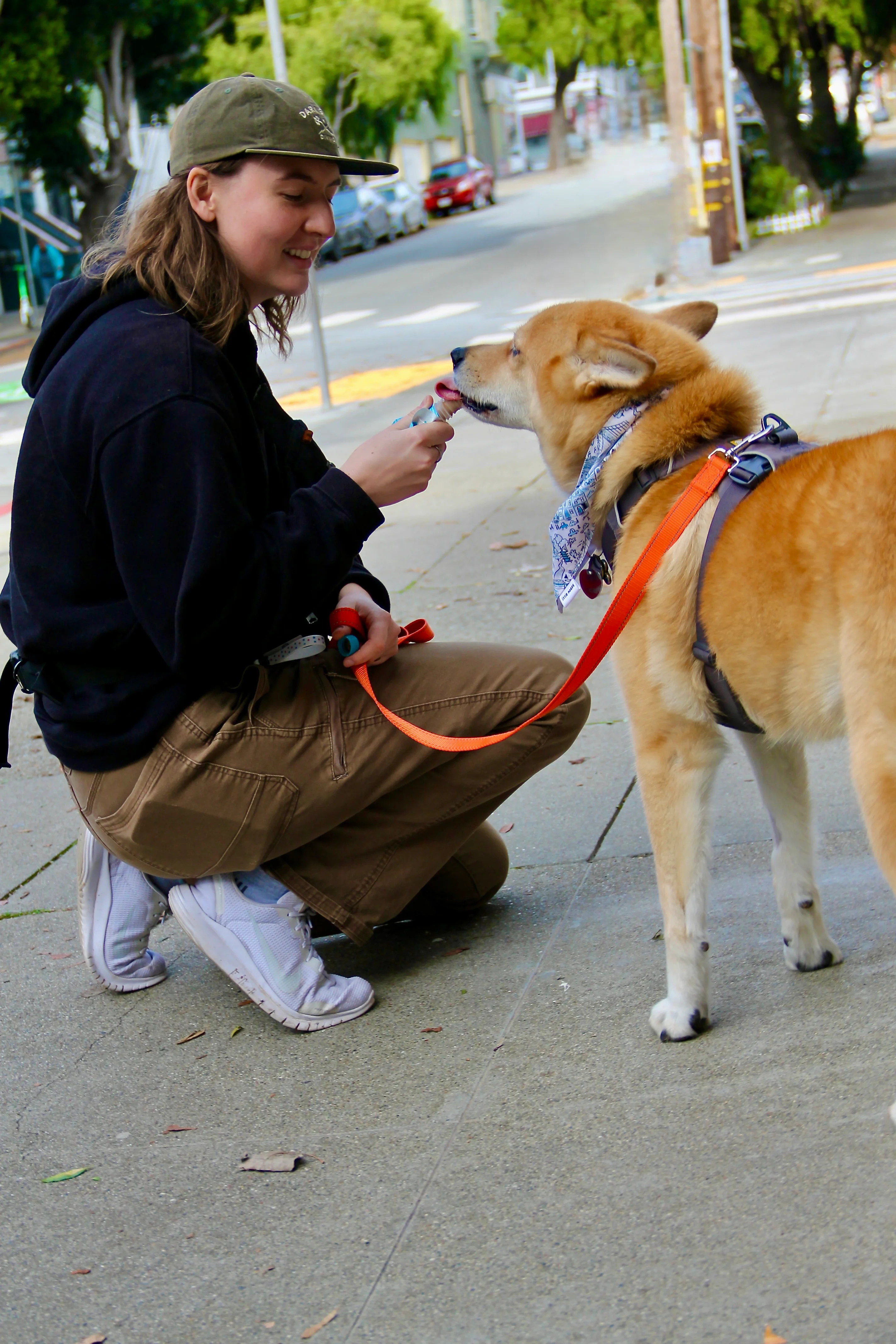 Sniff and Go dog walker on a Cow Hollow side street